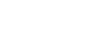 The Stewart Chiropractic website header logo