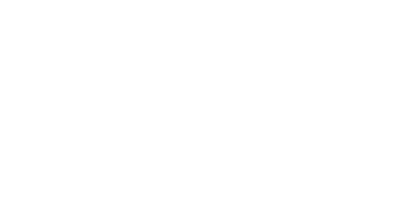 Stewart Chiropractic official logo and icon in white